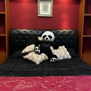 book here